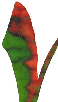 Erde