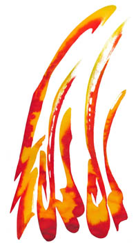 Feuer schwarz