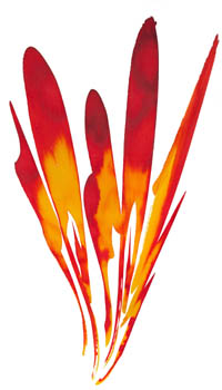 Feuer