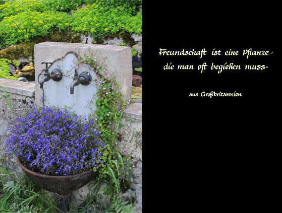 Buch 2013 "Freunde"