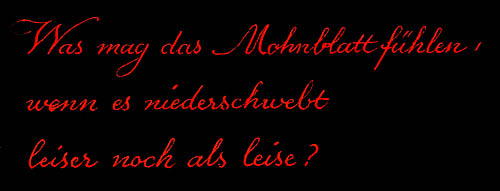 Was mag das Mohnblatt fühlen...