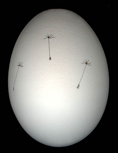frohe Ostern! 