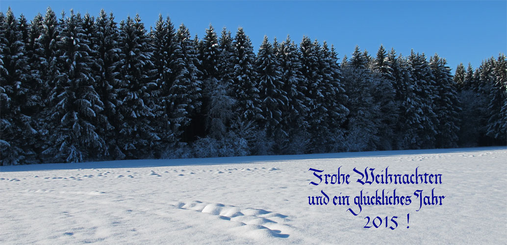 Merry Christmas and a happy year 2015!